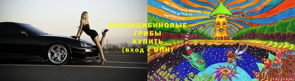 СК Алексин