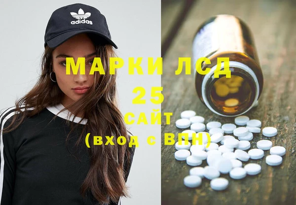 СК Алексин